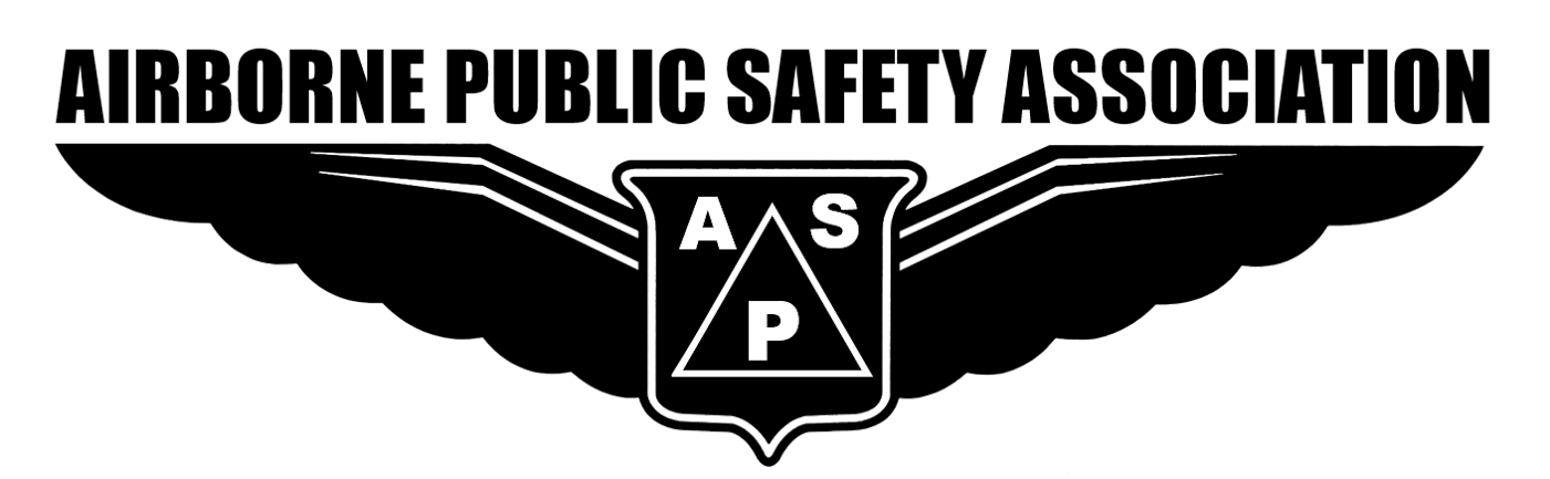APSA Wings only transparent