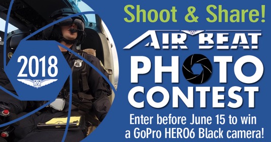 APSA 2018 Photo Contest