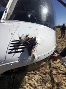 Bird Strike Damages
