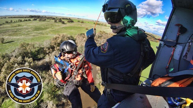 2021 02 Image3 Virtual APSA Rescue Summit Scheduled for March 22