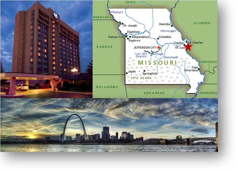 STL Collage2